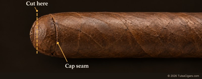 Close-up of a cigar head with a dashed cut line near the tip and the cap seam farther back on the shoulder.